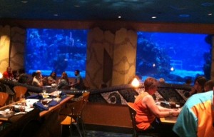 Coral Reef
