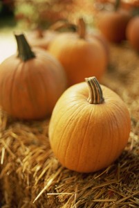 Pumpkins on Bale of Hay